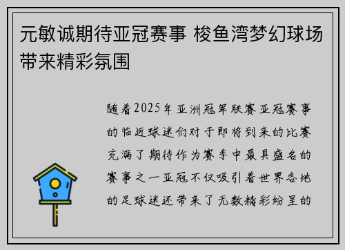 元敏诚期待亚冠赛事 梭鱼湾梦幻球场带来精彩氛围